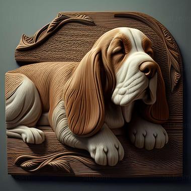 3D model Artesian Norman Basset dog (STL)